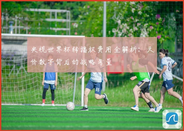 央视世界杯转播权费用全解析：天价数字背后的战略考量