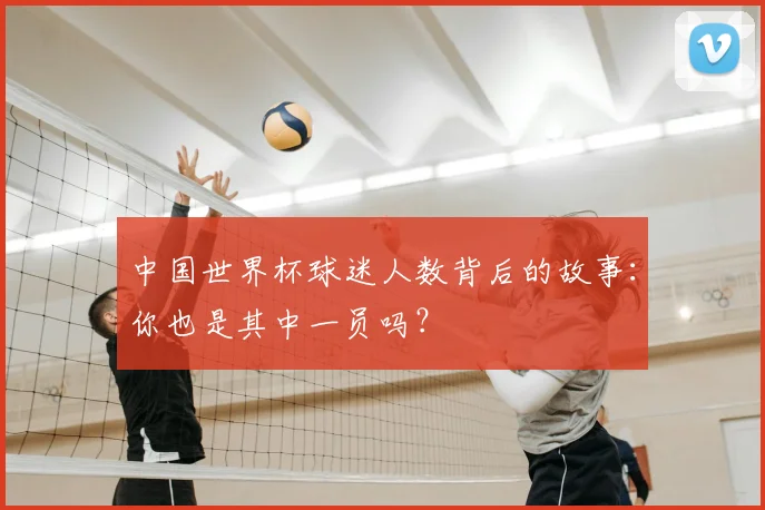 中国世界杯球迷人数背后的故事：你也是其中一员吗？
