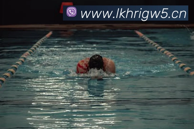 星空体育入口APP 封面图